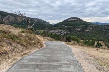 Camino con acabado en cepillado gris